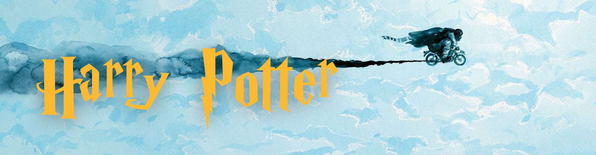 Harry Potter - Tienda online de librerías El Lector Panamá