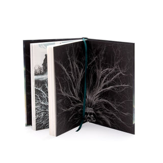 Dagón y otros relatos iniciales