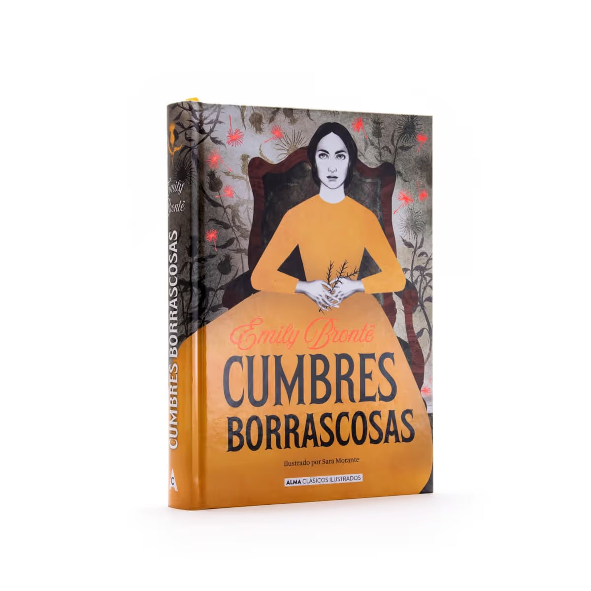 Cumbres Borrascosas