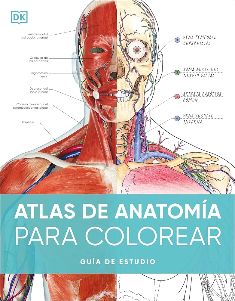 Atlas de anatomía para colorear: Guía de estudio cover image