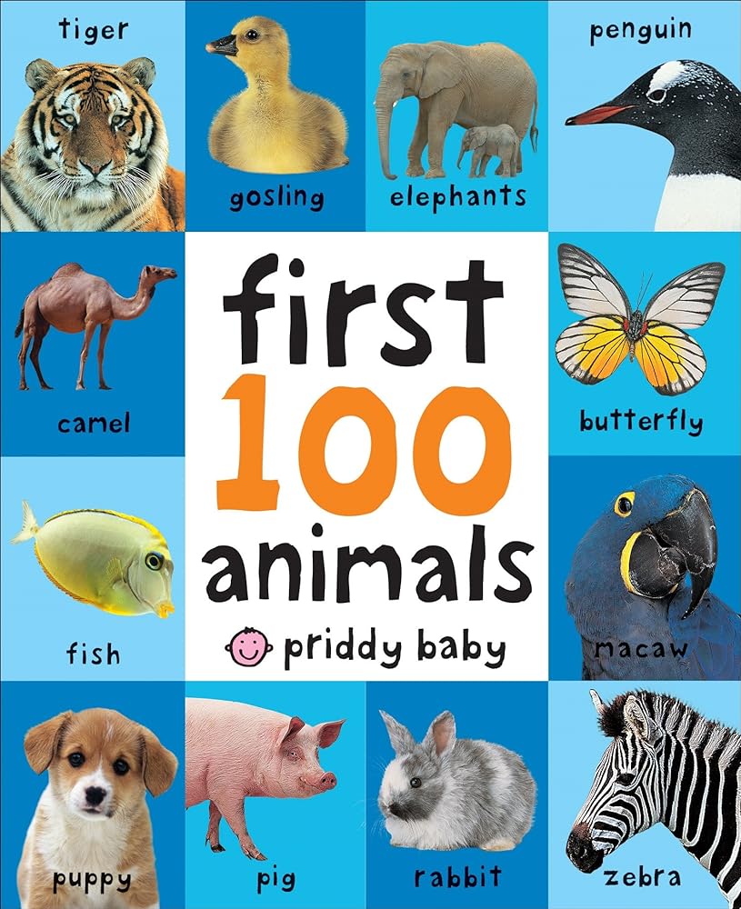First 100 Animals (First 100) [Board book]