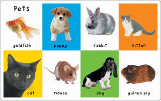 First 100 Animals Padded (large)