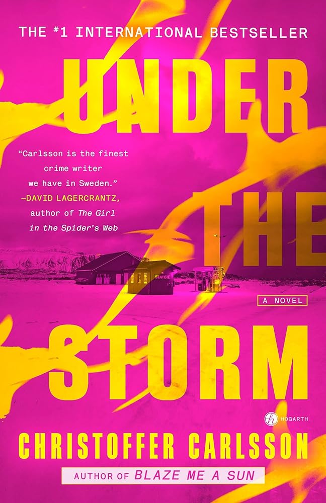 Under the Storm: A Novel