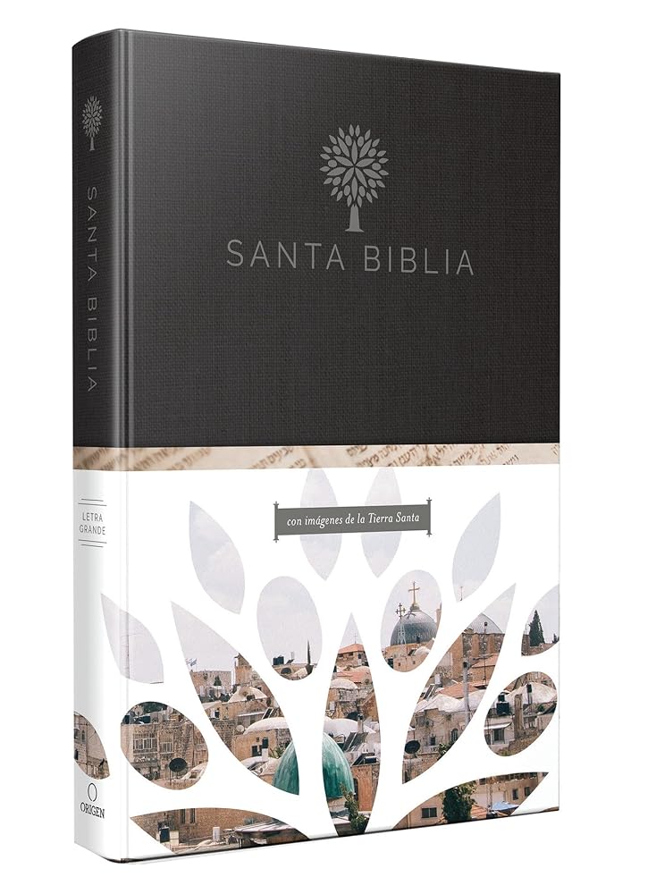 Biblia Reina Valera 1960 Tamaño grande, letra grande. Tapa dura / RVR 1960 Holy Bible in Spanish. Large Size, Large Print, Hard Cover. (Spanish Edition) cover image