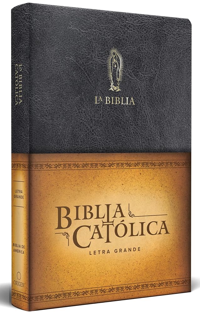 La Biblia Católica: Tamaño grande, Edición letra grande piel negra, con Virgen de Guadalupe / Catholic Leather Bible. Large Size, Large Print, Color Black (Spanish Edition) cover image