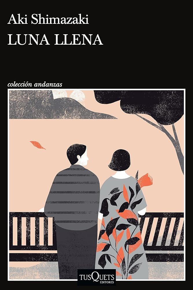 Luna llena cover image