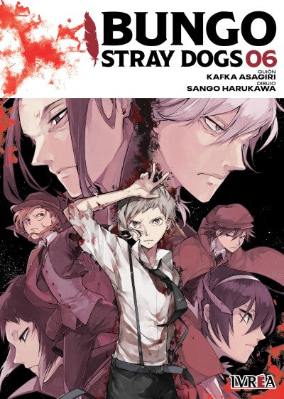 Bungo Stray Dogs 06 (Bungo Stray Dogs manga, #11-12)
