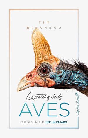 Los sentidos de la aves: Qué se siente al ser un pájaro (ENSAYO)