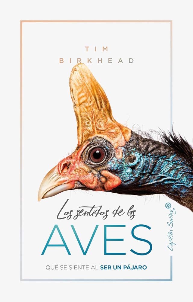 Los sentidos de la aves: Qué se siente al ser un pájaro (ENSAYO) cover image