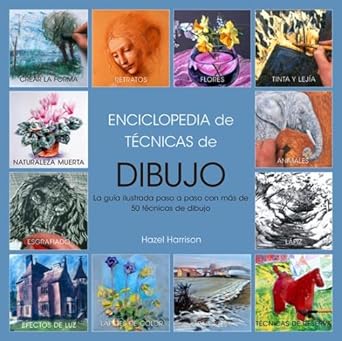 Enciclopedia de técnicas de dibujo: Guía ilustrada paso a paso con más de 50 técnicas de dibujo (SIN COLECCION) cover image