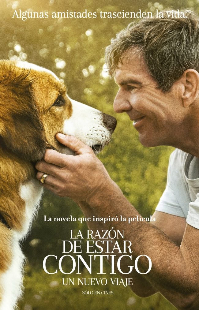 La razón de estar contigo 2. Un nuevo viaje