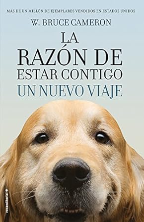 Un nuevo viaje