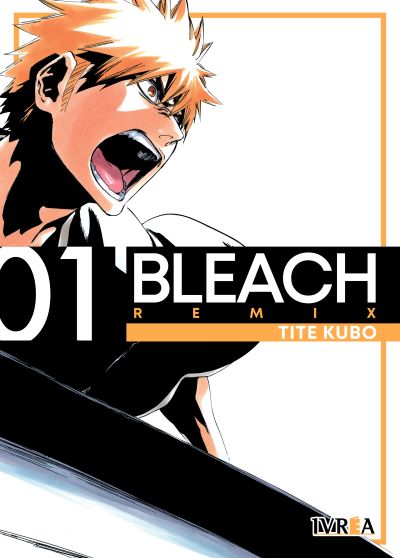 Bleach Remix, Vol. 01: Saga del Shinigami Sustituto ① Encuentro (Bleach nueva edición, #1) cover image