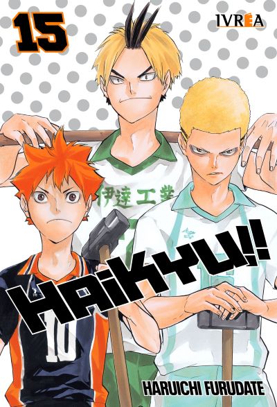 Haikyu!! tomo 15: Destructor (Haikyuu!!, #15) cover image