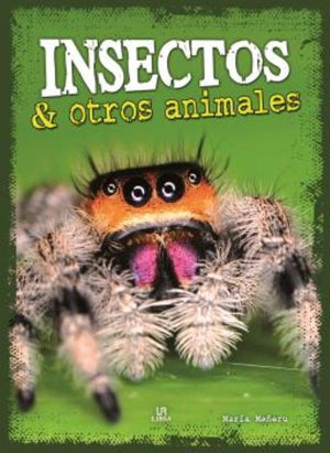 Insectos y Otros Animales (Reino Animal)