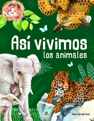 Así Vivimos los Animales: 1 (Animalia)