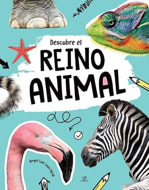Descubre el Reino Animal: 1 (Entrena tu Cerebro)