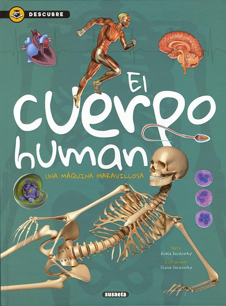 El cuerpo humano (Descubre)