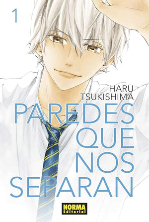 PAREDES QUE NOS SEPARAN 1 (SIN COLECCION)