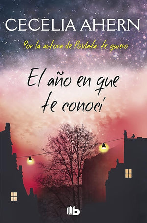 El año en que te conocí