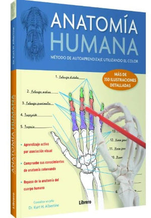 Anatom¡a Humana ( Aprender con el color)