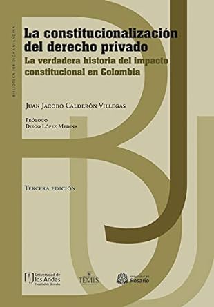 Constitucionalización del derecho privado, La