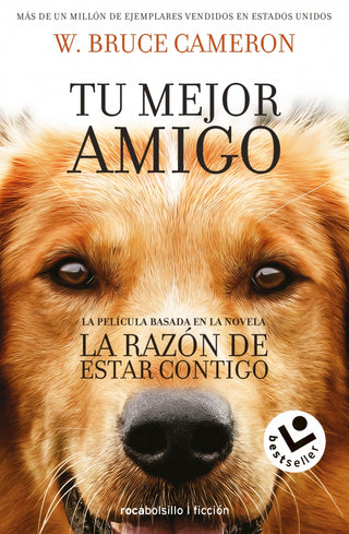 La razón de estar contigo