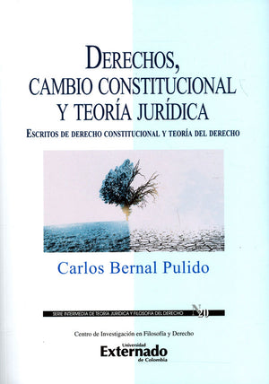 Derechos, Cambio Constitucional y Teoría Jurídica