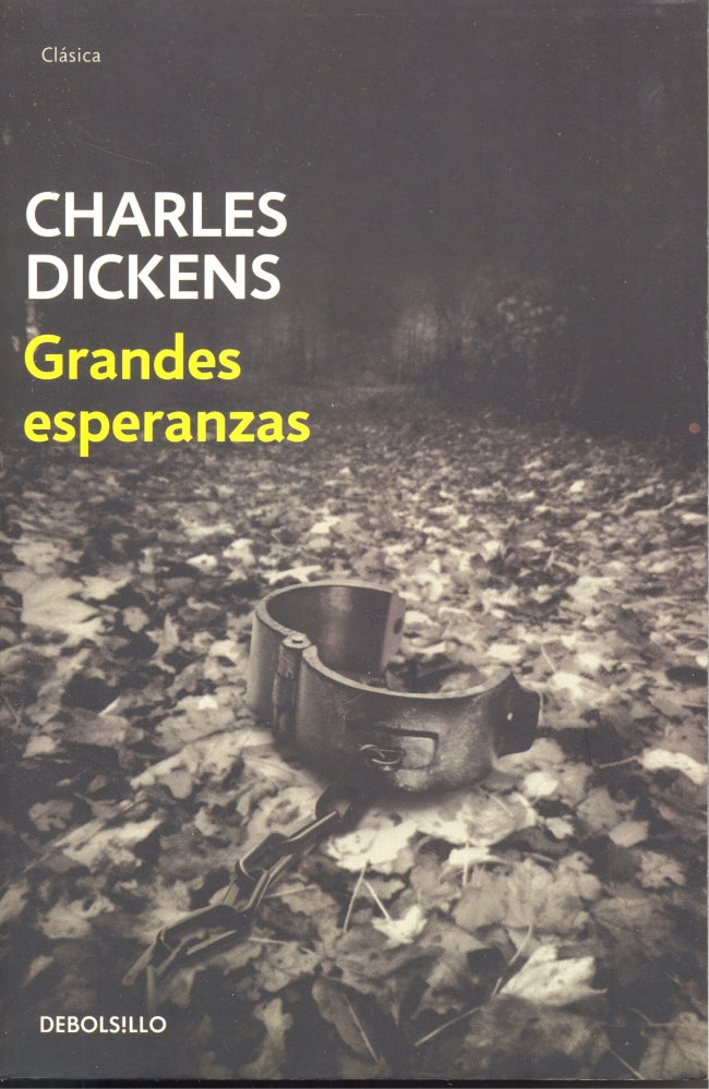 Grandes esperanzas
