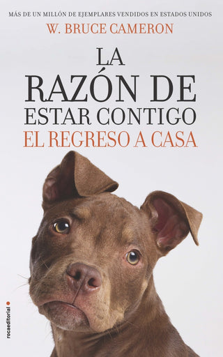 La razón de estar contigo