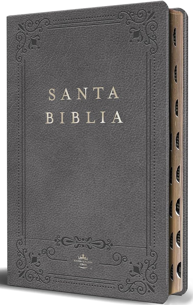 Biblia RVR 1960 letra grande tamaño manual, Piel gris con índice / Spanish Bible RVR 1960 Handy Size Large Print Leathersoft Gray with index (Spanish Edition) cover image