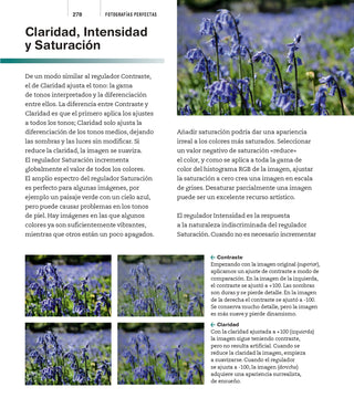 Todo Lo Que Necesita saber para Tomar Fotografías perfectas (BLUME)