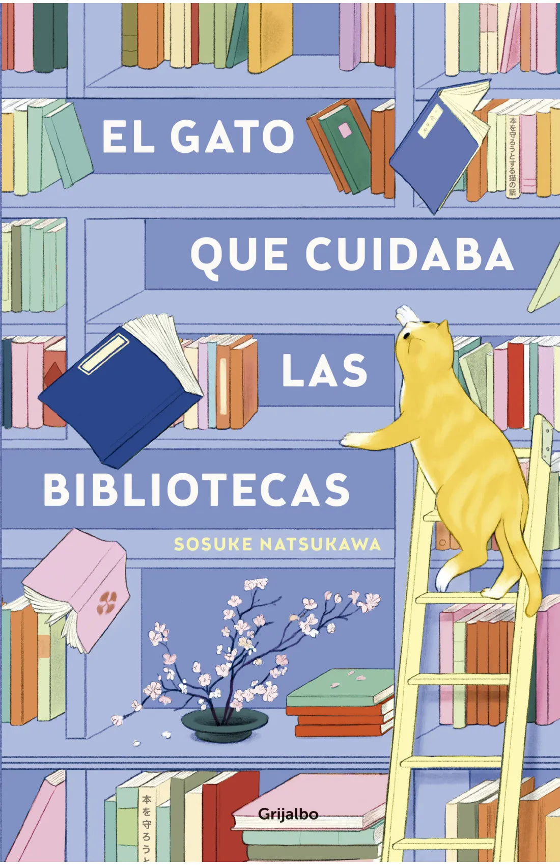 El Gato que cuidaba las bibliotec