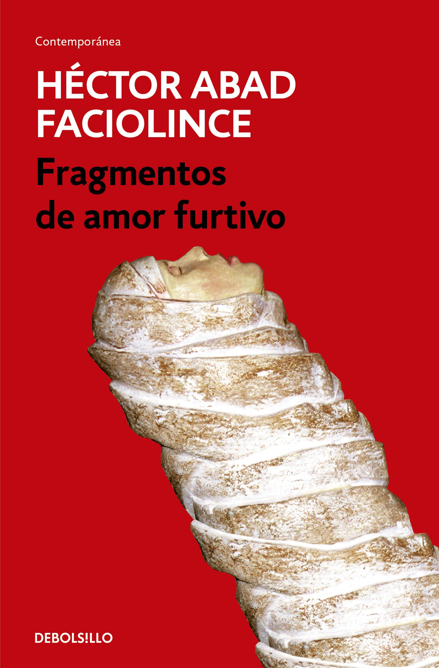Fragmentos de un amor furtivo