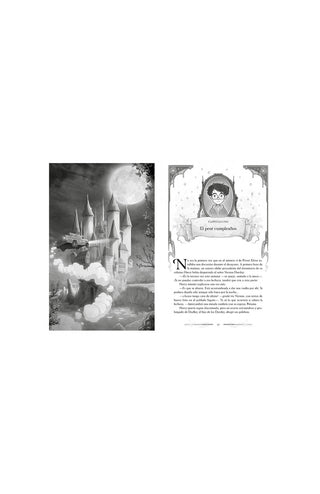 Harry Potter y la cámara secreta (Harry Potter [edición con ilustraciones de Xavier Bonet] 2)