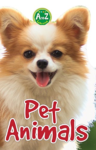 Pet animals (A to Z learning)