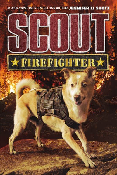 Scout firefighter