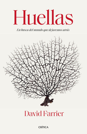 Huellas - En busca del mundo que dejamos atrás