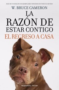 regreso a casa (razon de estar contigo 3