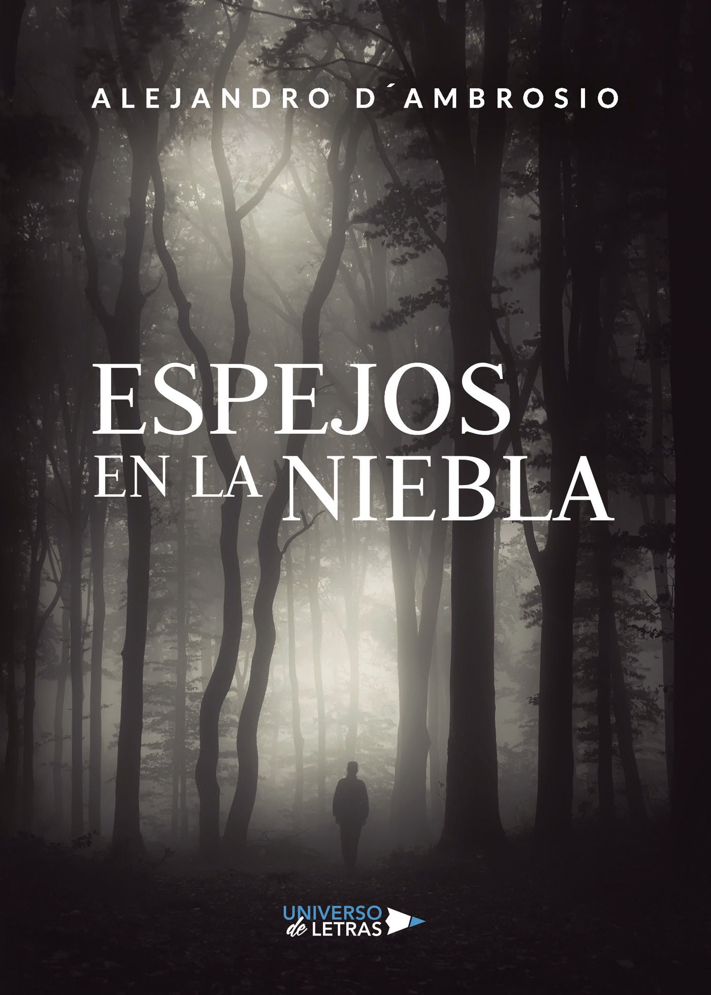 Espejos en la niebla