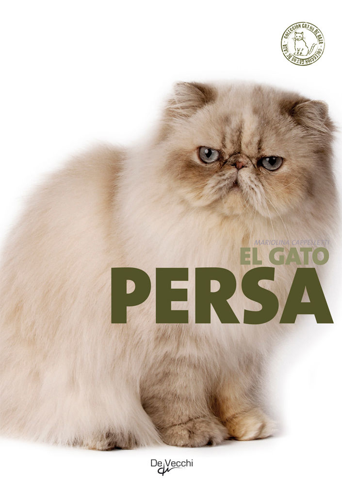 Gato persa