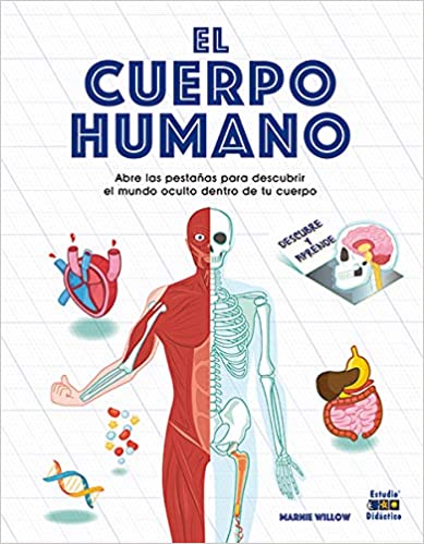 El cuerpo humano