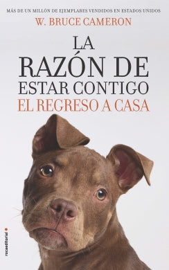 RAZON DE ESTAR CONTIGO, LA - EL REGRESO