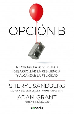 Opción B