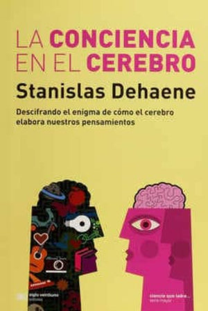la conciencia en el cerebro
