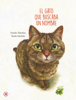 El gato que buscaba un nombre