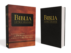 Biblia Letra Grande Rvr 1
