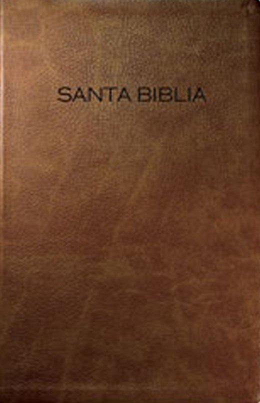 Biblia Nvi