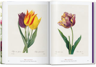 Pierre-Joseph Redouté. El libro de las flores. 40th Ed.