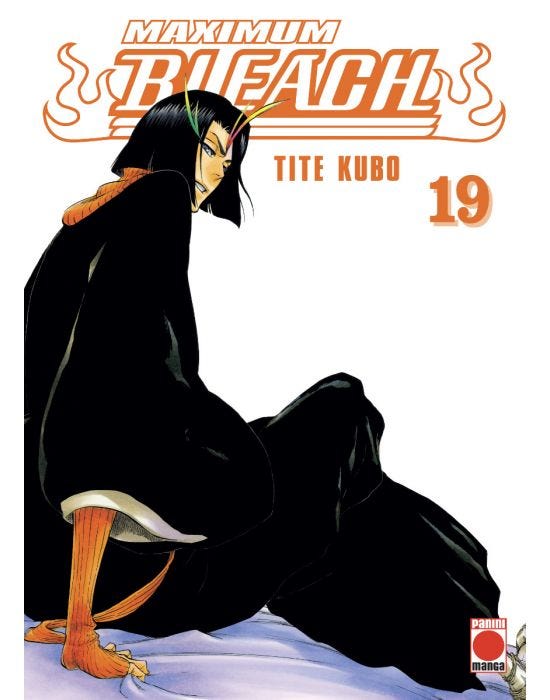 Bleach Maximum #19